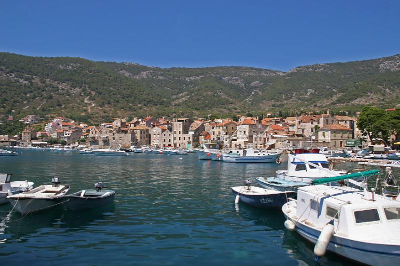 Vis                    27.jpg